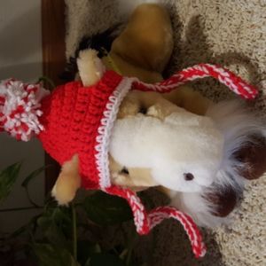 🎁Santa Christmas🎄🐶 dog /pet hat, NWOT, Medium ?